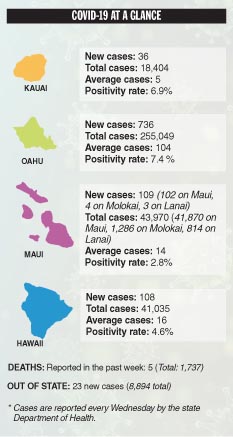 COVID-19 at a Glance
